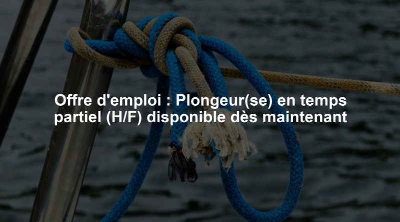Offre d'emploi : Plongeur(se) en temps partiel (H/F) disponible dès maintenant