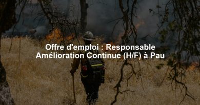 Offre d'emploi : Responsable Amélioration Continue (H/F) à Pau