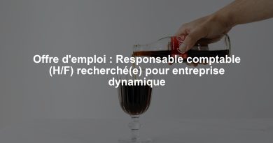 Offre d'emploi : Responsable comptable (H/F) recherché(e) pour entreprise dynamique