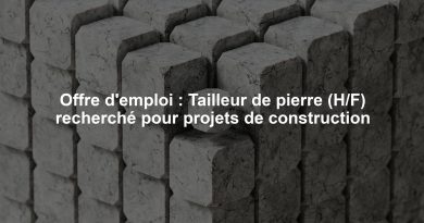 Offre d'emploi : Tailleur de pierre (H/F) recherché pour projets de construction