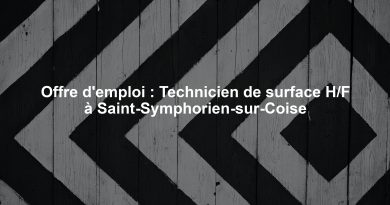 Offre d'emploi : Technicien de surface H/F à Saint-Symphorien-sur-Coise