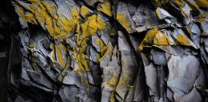 Verified : Mike Caulfield et Sam Wineburg sur la vérification des informations en ligne