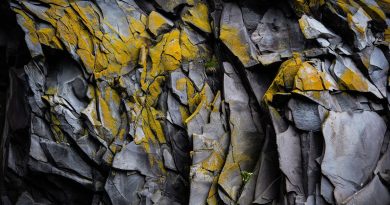 Verified : Mike Caulfield et Sam Wineburg sur la vérification des informations en ligne