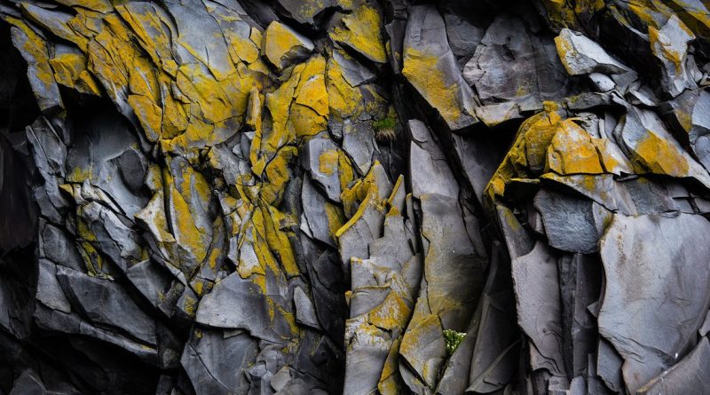 Verified : Mike Caulfield et Sam Wineburg sur la vérification des informations en ligne