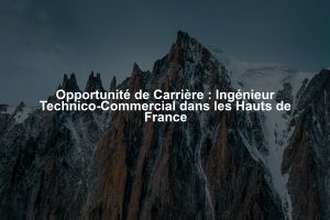 Opportunité de Carrière : Ingénieur Technico-Commercial dans les Hauts de France