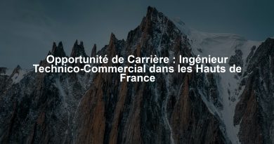 Opportunité de Carrière : Ingénieur Technico-Commercial dans les Hauts de France