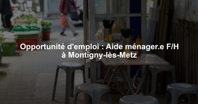 Opportunité d'emploi : Aide ménager.e F/H à Montigny-lès-Metz