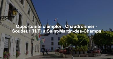 Opportunité d'emploi : Chaudronnier - Soudeur (H/F) à Saint-Martin-des-Champs