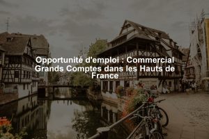 Opportunité d'emploi : Commercial Grands Comptes dans les Hauts de France