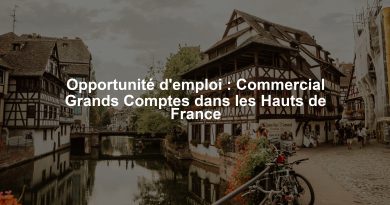 Opportunité d'emploi : Commercial Grands Comptes dans les Hauts de France