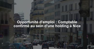 Opportunité d'emploi : Comptable confirmé au sein d'une holding à Nice