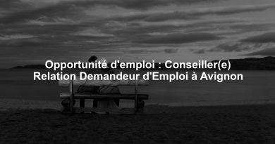 Opportunité d'emploi : Conseiller(e) Relation Demandeur d'Emploi à Avignon
