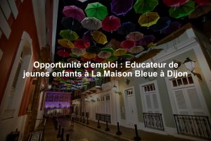 Opportunité d'emploi : Educateur de jeunes enfants à La Maison Bleue à Dijon