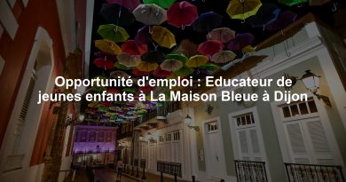 Opportunité d'emploi : Educateur de jeunes enfants à La Maison Bleue à Dijon