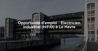Opportunité d'emploi : Electricien industriel (H/F/D) à Le Havre