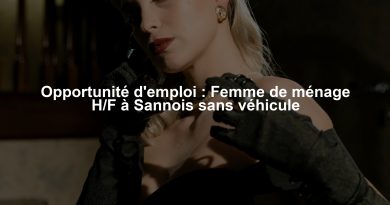 Opportunité d'emploi : Femme de ménage H/F à Sannois sans véhicule