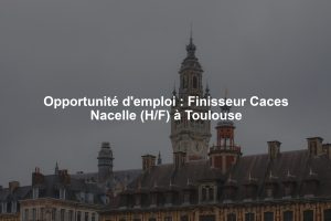 Opportunité d'emploi : Finisseur Caces Nacelle (H/F) à Toulouse