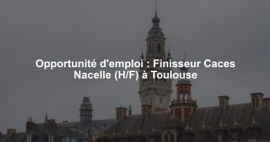Opportunité d'emploi : Finisseur Caces Nacelle (H/F) à Toulouse