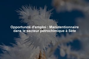 Opportunité d'emploi : Manutentionnaire dans le secteur pétrochimique à Sète