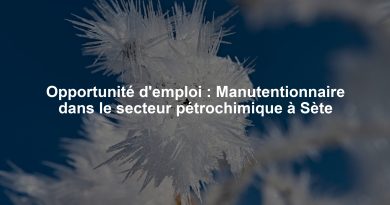 Opportunité d'emploi : Manutentionnaire dans le secteur pétrochimique à Sète