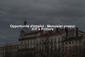 Opportunité d'emploi : Menuisier poseur H/F à Poitiers