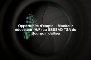 Opportunité d'emploi : Moniteur éducateur (H/F) au SESSAD TSA de Bourgoin-Jallieu