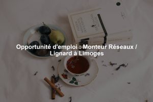 Opportunité d'emploi : Monteur Réseaux / Lignard à Limoges
