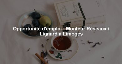 Opportunité d'emploi : Monteur Réseaux / Lignard à Limoges