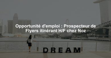 Opportunité d'emploi : Prospecteur de Flyers itinérant H/F chez Noz