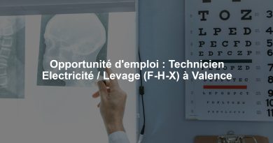 Opportunité d'emploi : Technicien Electricité / Levage (F-H-X) à Valence