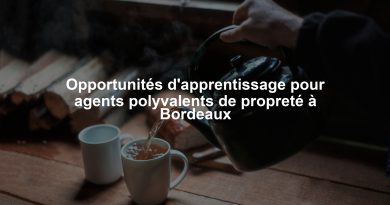 Opportunités d'apprentissage pour agents polyvalents de propreté à Bordeaux