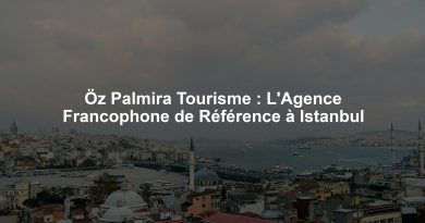 Öz Palmira Tourisme : L'Agence Francophone de Référence à Istanbul