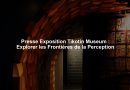 Presse Exposition Tikotin Museum : Explorer les Frontières de la Perception