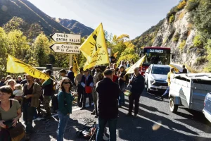 « La première chose qu’on fait, c’est pleurer » : abattage total face au virus bovin