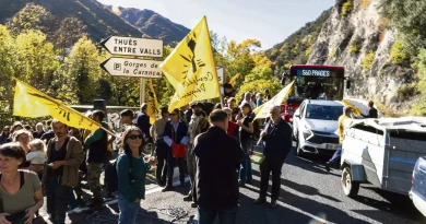 « La première chose qu’on fait, c’est pleurer » : abattage total face au virus bovin
