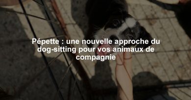 Pépette : une nouvelle approche du dog-sitting pour vos animaux de compagnie