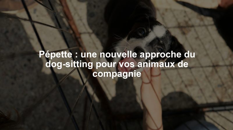 Pépette : une nouvelle approche du dog-sitting pour vos animaux de compagnie