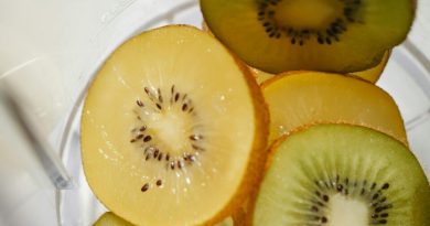 Le kiwi : un fruit savoureux qui allie plaisir et santé, selon Valentine Caput