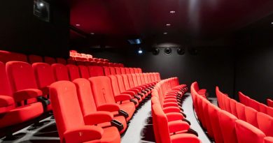 Pays de Savoie — Punaises de lit : « psychose » dans les cinémas, aucun cas de piqûres signalé