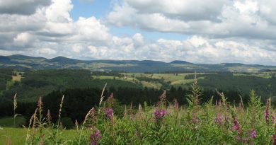 Le Département alloue 8 800 euros pour la réhabilitation du belvédère du Mont-Mouchet