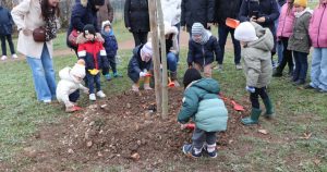 Hirtzfelden : Huit enfants plantent un albizia, arbre de soie, dans leur village