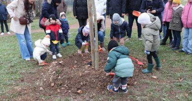Hirtzfelden : Huit enfants plantent un albizia, arbre de soie, dans leur village