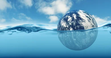 Un nouveau rapport révèle les risques majeurs de transformer les océans en puits de carbone.