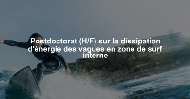 Postdoctorat (H/F) sur la dissipation d'énergie des vagues en zone de surf interne