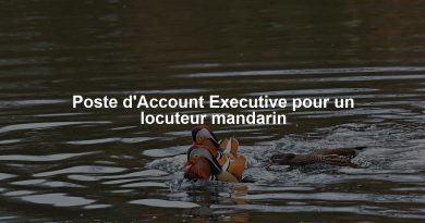 Poste d'Account Executive pour un locuteur mandarin