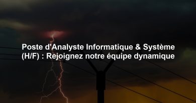 Poste d'Analyste Informatique & Système (H/F) : Rejoignez notre équipe dynamique