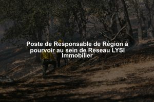 Poste de Responsable de Région à pourvoir au sein de Reseau LYSI Immobilier