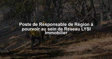 Poste de Responsable de Région à pourvoir au sein de Reseau LYSI Immobilier