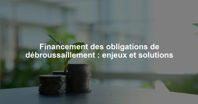Financement des obligations de débroussaillement : enjeux et solutions
