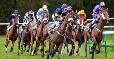 pronostics hippique 22/11/25
